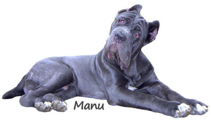 Manu